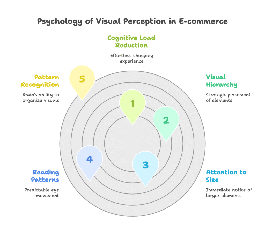 Visual Perception Psychology